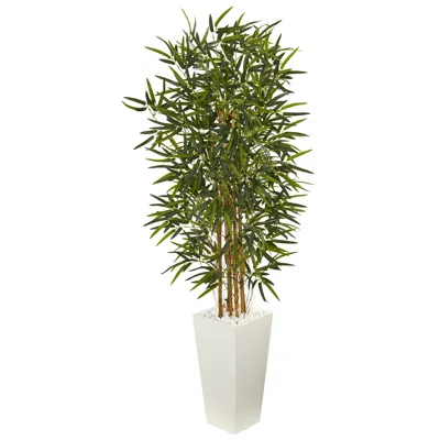 Homplanti 5.5' Bamboo Tree In White Tower Planter