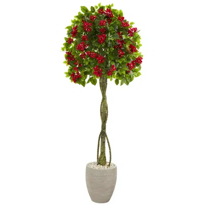 Homplanti 5.5' Bougainvillea Topiary Tree In Sand Colored Planter In Black