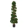 Homplanti 5.5' English Ivy Topiary Spiral Tree Uv (indoor/outdoor)
