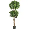 Homplanti 5.5' Eucalyptus Double Ball Topiary Tree W/1989 Lvs