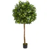 Homplanti 5.5' Ficus Artificial Tree