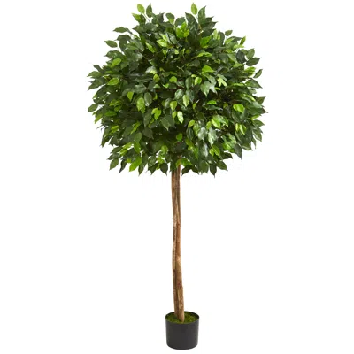 Homplanti 5.5' Ficus Artificial Tree