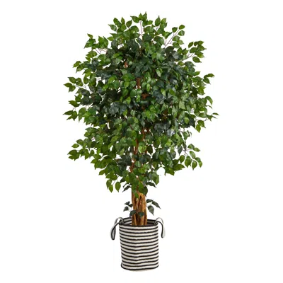Homplanti 5.5' Ficus Tree In Handmade Black & White Jute Planter