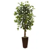 Homplanti 5.5' Ficus Tree W/bamboo Planter