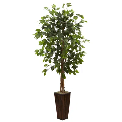 Homplanti 5.5' Ficus Tree W/bamboo Planter
