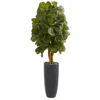 Homplanti 5.5' Fiddle Leaf Artificial Tree In Gray Cylinder Planter