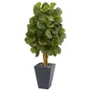 Homplanti 5.5' Fiddle Leaf Artificial Tree In Slate Planter