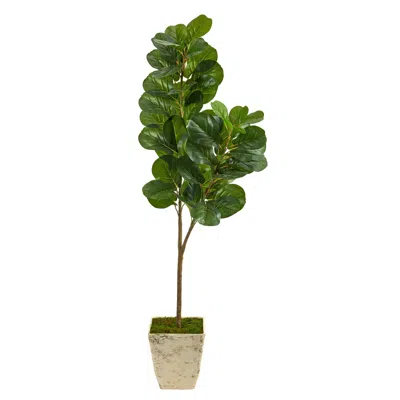 Homplanti 5.5' Fiddle Leaf Fig Tree In Country White Planter