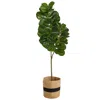 HOMPLANTI 5.5' FIDDLE LEAF FIG TREE IN HANDMADE NATURAL COTTON PLANTER