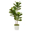 Homplanti 5.5' Fiddle Leaf Tree In Planter Uv (indoor/outdoor)