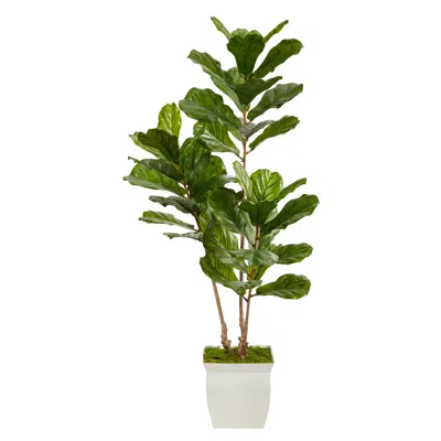 Homplanti 5.5' Fiddle Leaf Tree In Planter Uv (indoor/outdoor)