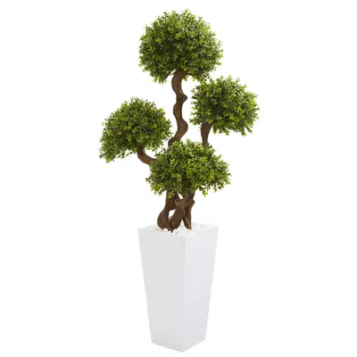 Homplanti 55" Four Ball Boxwood Topiary Tree In Tall White Planter