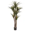 Homplanti 5.5' Giant Yucca Artificial Tree Uv Resistant