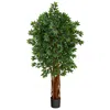 Homplanti 5.5' Lychee Artificial Tree With Natural Trunk