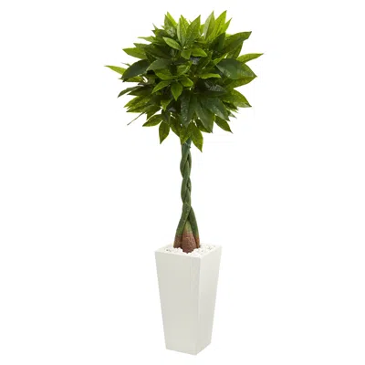 Homplanti 5.5' Money Artificial Tree In Tower Planter (real Touch)