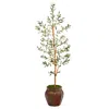 Homplanti 5.5' Olive Artificial Tree In Decorative Planter