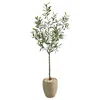 Homplanti 5.5' Olive Artificial Tree In Sand Colored Planter