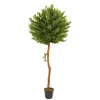 Homplanti 5.5' Olive Artificial Tree Uv Resistant (indoor/outdoor)