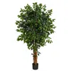 Homplanti 5.5' Palace Ficus Artificial Tree