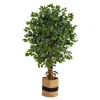 Homplanti 5.5' Palace Ficus Tree In Handmade Natural Cotton Planter