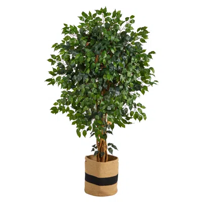 Homplanti 5.5' Palace Ficus Tree In Handmade Natural Cotton Planter