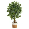 Homplanti 5.5' Palace Ficus Tree In Natural Jute And Cotton Planter