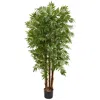 Homplanti 5.5' Parlour Artificial Palm Tree