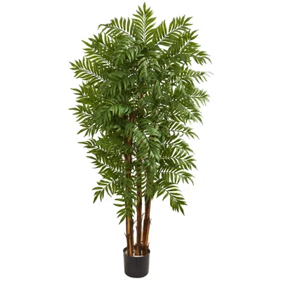 Homplanti 5.5' Parlour Artificial Palm Tree