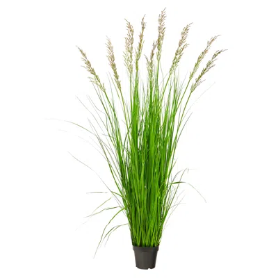 Homplanti 5.5' Plum Grass Artificial Plant
