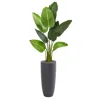 Homplanti 5.5' Traveler's Palm Artificial Tree In Gray Planter