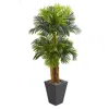 Homplanti 5.5' Triple Areca Palm Tree In Slate Finish Planter