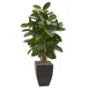 Homplanti 56" Artificial Rubber Tree In Black Planter