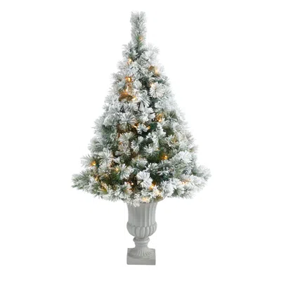 Homplanti 56" Flocked Oregon Pine Xmas Tree W/100 Lights In Urn