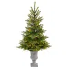 Homplanti 56" North Carolina Spruce Xmas Tree W/100 Leds In Urn