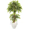 Homplanti 56" Variegated Ficus Artificial Tree In White Planter