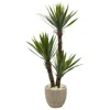 Homplanti 56" Yucca Artificial Tree In Sandstone Planter