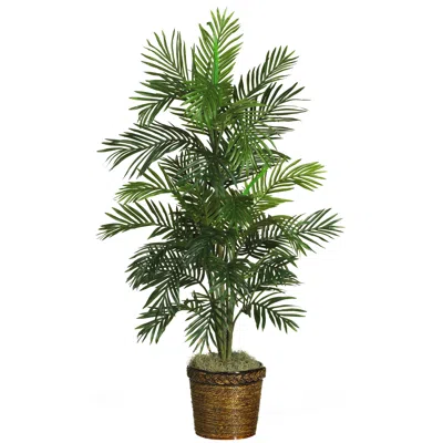 Homplanti 56inch Areca Tree W/basket