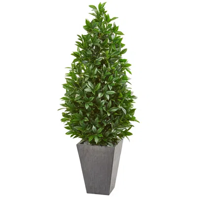 Homplanti 57" Bay Leaf Cone Topiary In Planter Uv (indoor/outdoor)