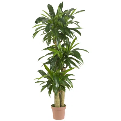 Homplanti 57" Corn Stalk Dracaena Artificial Plant (real Touch)