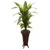 Homplanti 57" Dracaena W/stand Silk Plant (real Touch)