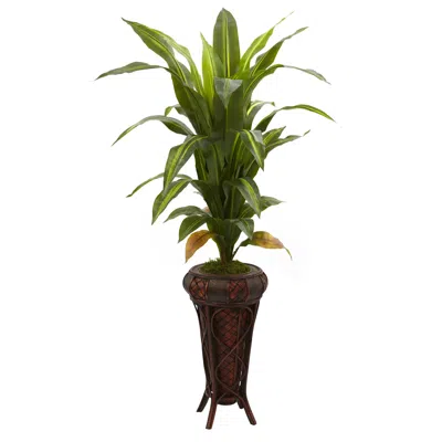 Homplanti 57" Dracaena W/stand Silk Plant (real Touch)