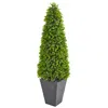 Homplanti 57" Eucalyptus Artificial Tree In Planter (indoor/outdoor)