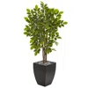 Homplanti 57" River Birch Artificial Tree In Black Planter