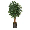 Homplanti 57" Sakaki Artificial Tree In Ribbed Metal Planter