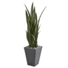 Homplanti 57" Sansevieria Artificial Plant In Slate Planter