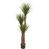 Homplanti 57" Yucca Artificial Tree
