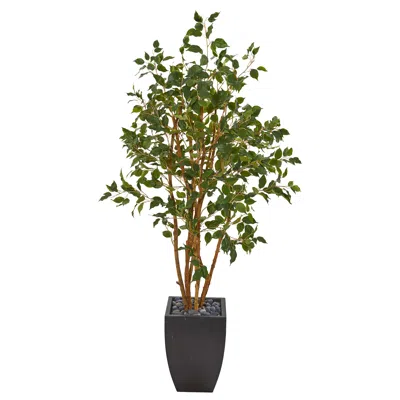 Homplanti 58" Ficus Artificial Tree In Black Planter