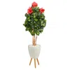 Homplanti 58" Hibiscus Artificial Tree In White Planter With Stand