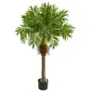 Homplanti 58" Robellini Palm Artificial Tree
