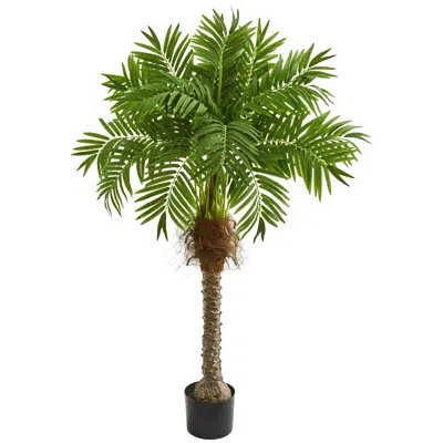 Homplanti 58" Robellini Palm Artificial Tree In Black